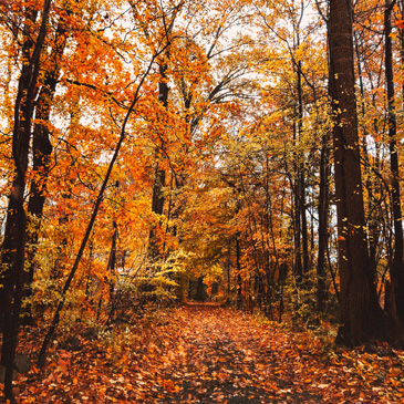 Latest News from Saints Peter and Paul Lutheran Church in Riverside, IL