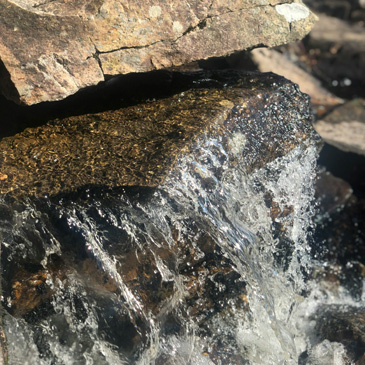 Latest Worship Folder from Saints Peter and Paul Lutheran Church in Riverside, IL