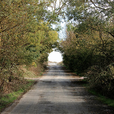 Latest Worship Folder from Saints Peter and Paul Lutheran Church in Riverside, IL